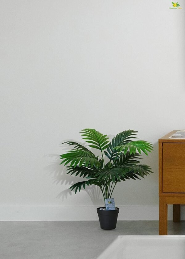 Blooming Floret Artificial Areca Palm for Home Decor/Office Decor/Gifting | Attractive Ornamental Plant | 12 Leaves | with Pot | Natural Looking Indoor Plant