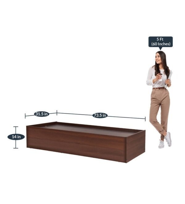 Native Single Day Bed with Storage in Brown Colour